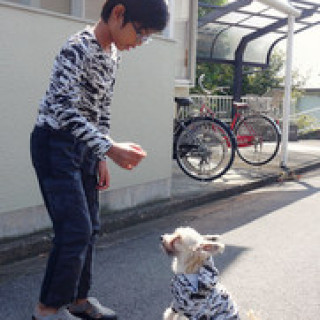 Boy tee and dog hoodie